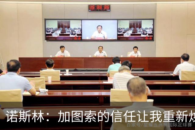 诺斯林：加图索的信任让我重新焕发光芒